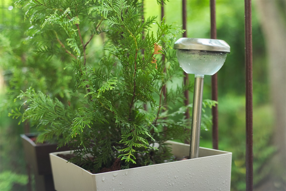 Sublimer votre terrasse de jardin